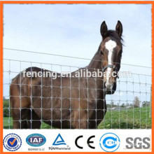 Galvanized grassland mesh/grassland fence / Animal fence for sales